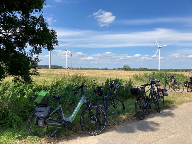 Erfolge 2018 – 2023