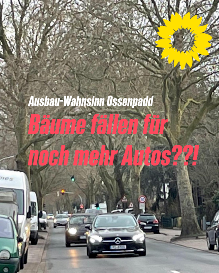 Ossenpadd: Platz schaffen für alle – Bäume erhalten!