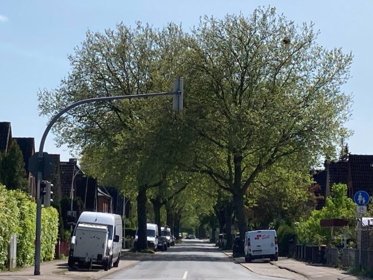  Und wat nu, Ossenpadd?